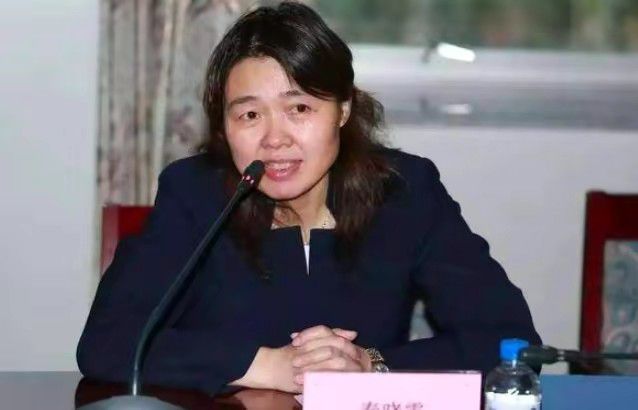 全集免费观看超清