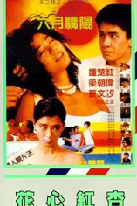 BD高清免费观看