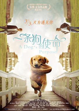 BD国语电影免费在线