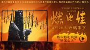 DVD无删减90分钟观看