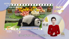 蓝光完整版在线看